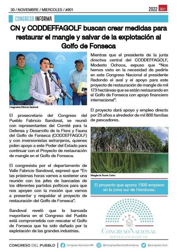 CN y CODDEFFAGOLF buscan crear medidas para restaurar el mangle y salvar de la explotación al Golfo de Fonseca